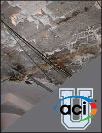 Image For Activity Cover