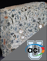 Image For Activity Cover
