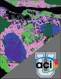 Image For Activity Cover