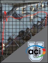 Image For Activity Cover