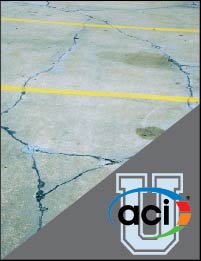 Image For Activity Cover