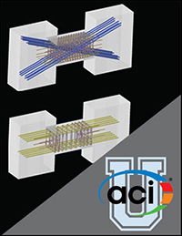 Image For Activity Cover