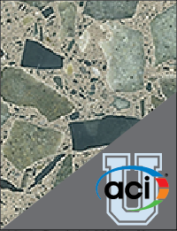 Image For Activity Cover