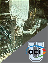 Image For Activity Cover