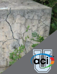 Image For Activity Cover
