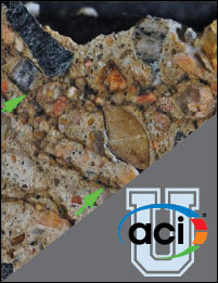 Image For Activity Cover