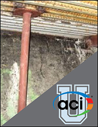 Image For Activity Cover