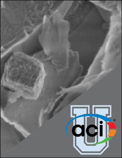 Image For Activity Cover