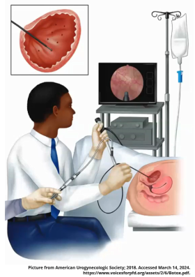 What New in Overactive Bladder?