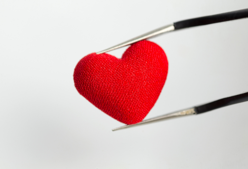 Image For Activity Cover