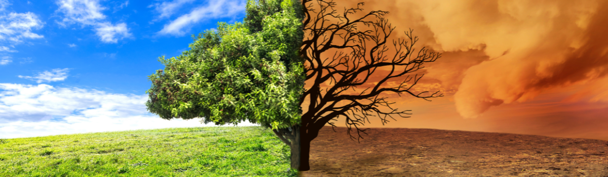 Designing for Resilience: Climate-Responsive Architecture Image